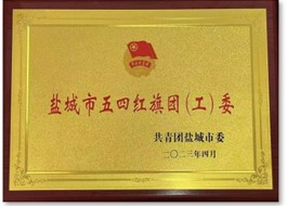 五四红旗团委
