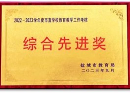 综合先进奖